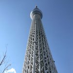 スパイスカフェ - 真下からの東京スカイツリー