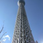 スパイスカフェ - 真下からの東京スカイツリー