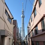 スパイスカフェ - 東京スカイツリー