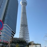 スパイスカフェ - 東京スカイツリー