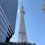 スパイスカフェ - 東京スカイツリー