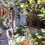 スパイスカフェ - 外観の風景です