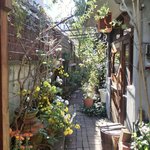 スパイスカフェ - 外観の風景です