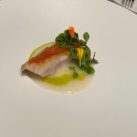 RISPETTO - 