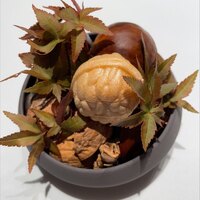 RISPETTO - 