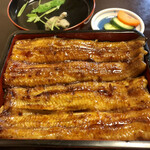 野毛 江戸ッ子 - うな重 特松　綺麗な焼き目だ