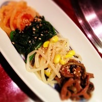 游玄亭 ホテルニューオータニ大阪店 - ナムル