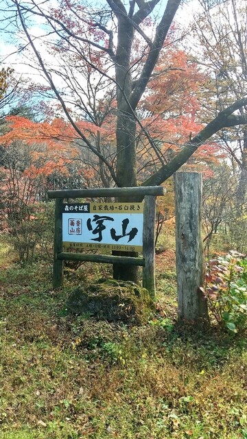森のそば屋　宇山 - 本宮（そば）の写真