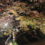 東京 芝 とうふ屋うかい - 