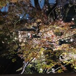 東京 芝 とうふ屋うかい - 