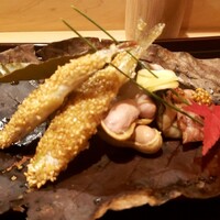 津の守坂 小柴 - 