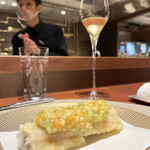 スガラボヴィー - 