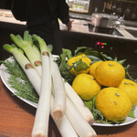 スガラボヴィー - 