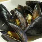 アソビストロ シェルター - 