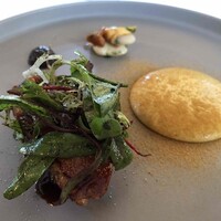 マダム・トキ - 