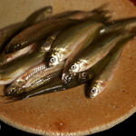 しのはら - 焼く前の諸子