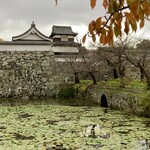 橙 - 福岡城跡