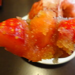 慈げん - ゴロリンイチゴ