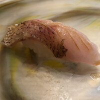 鮨 千陽 -  鮨 千陽 -