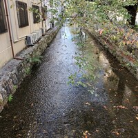 モリタ屋 木屋町店 - 