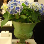 ローザネーラ - 