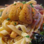 fino - (09/6夜)生うにとタリオリーニのアップ