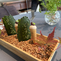 プレヴナンス - 