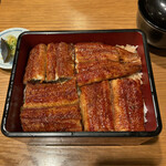 本家柴藤 - 大阪まむし(蘭)