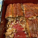 本家柴藤 - 間に挟まれてます！