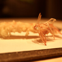 新宿 鮨 よこ田 - 