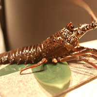 新宿 鮨 よこ田 - 