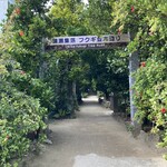 コスタ ベージャ コンドミニアム リゾート - 備瀬のフクギ並木