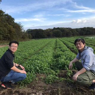 契約している農園から直送の無農薬の新鮮野菜