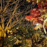 洋食 つばき - ツバキ(白い花)と紅葉がいい感じ