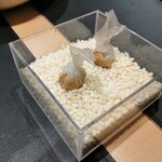 サンプリシテ - 