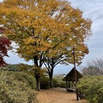 Shinrin Tsutsuji Kou Embaiten - 公園