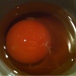 GENEI.WAGAN - 黄身のプリッとした卵
