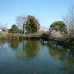 しらさぎ荘 - 鯉の池