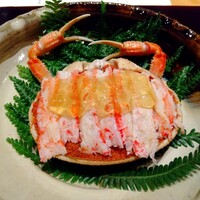 小熊 - 