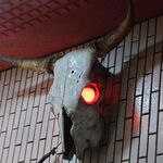 一条流がんこ総本家分家四谷荒木町 - 