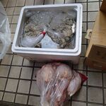 一条流がんこ総本家分家四谷荒木町 - 牡蠣と丸鶏♪