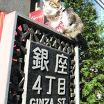 イデミスギノ - 帰りに出会ったマスコット猫