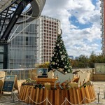 La Brianza - ヒルズのクリスマスツリー始まりました。