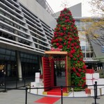 La Brianza - ヒルズのクリスマスツリー始まりましたね。カルティエのイベント前準備中のタイミングでした。