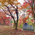 蕎遊庵 - 織姫公園内のもみじ谷