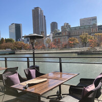 スミレオオサカ - 