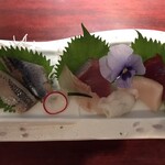 烏賊・鮨ダイニング 鮮助 西口店 - 