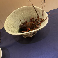 ひがしやま 司 - ピクピクしてる