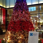 黒豚とんかつ くろまつ - 赤れんがテラスのクリスマスツリー。