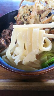 Takachan Udon - 麺アップ